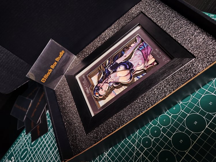 IN-STOCK Black Box Studio - One piece- Decorative Frame of BA-002 Nico·Robin Scene Painting