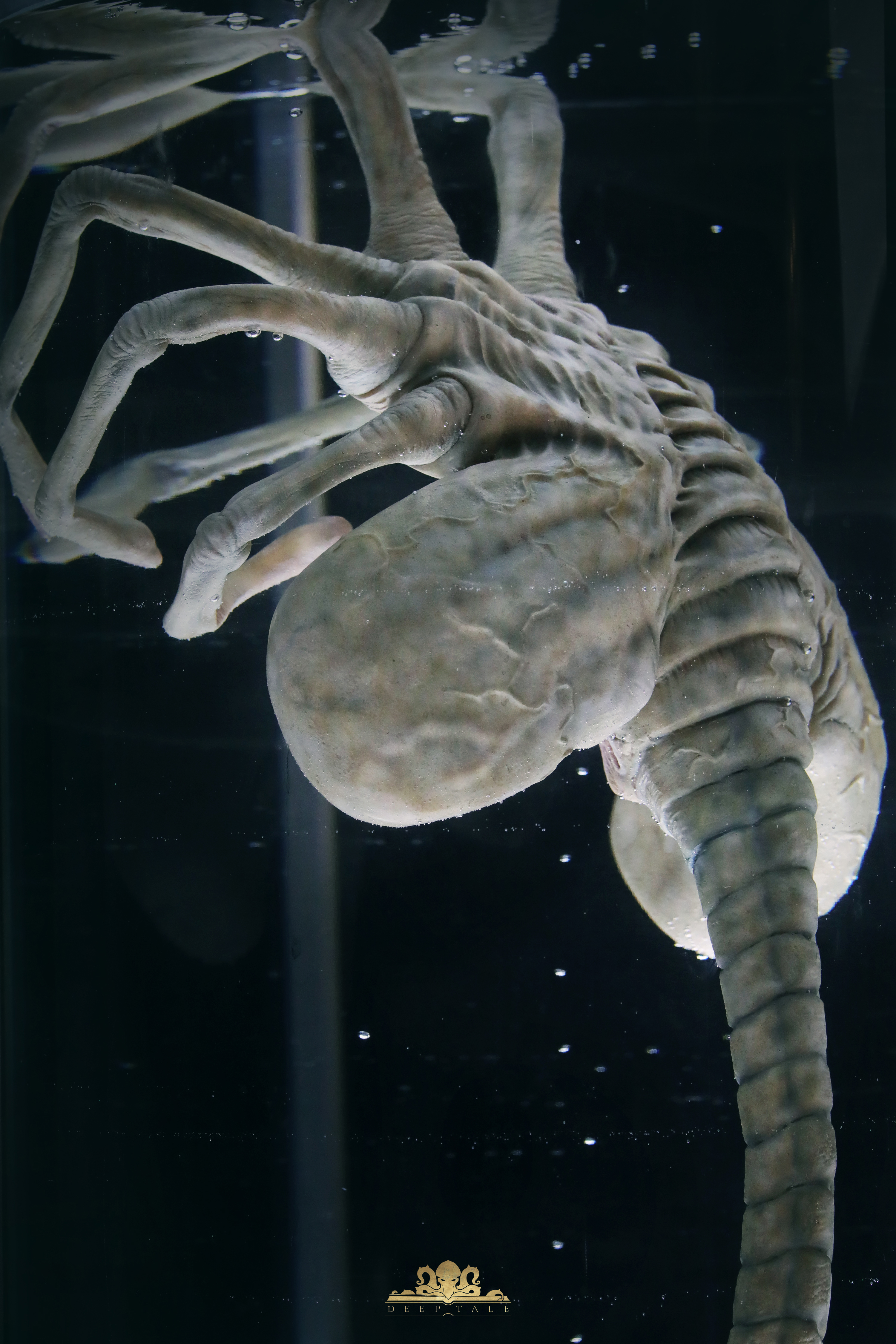 Deep Tale Studio - Alien Facehugger Stasis Chamber Statue(GK)