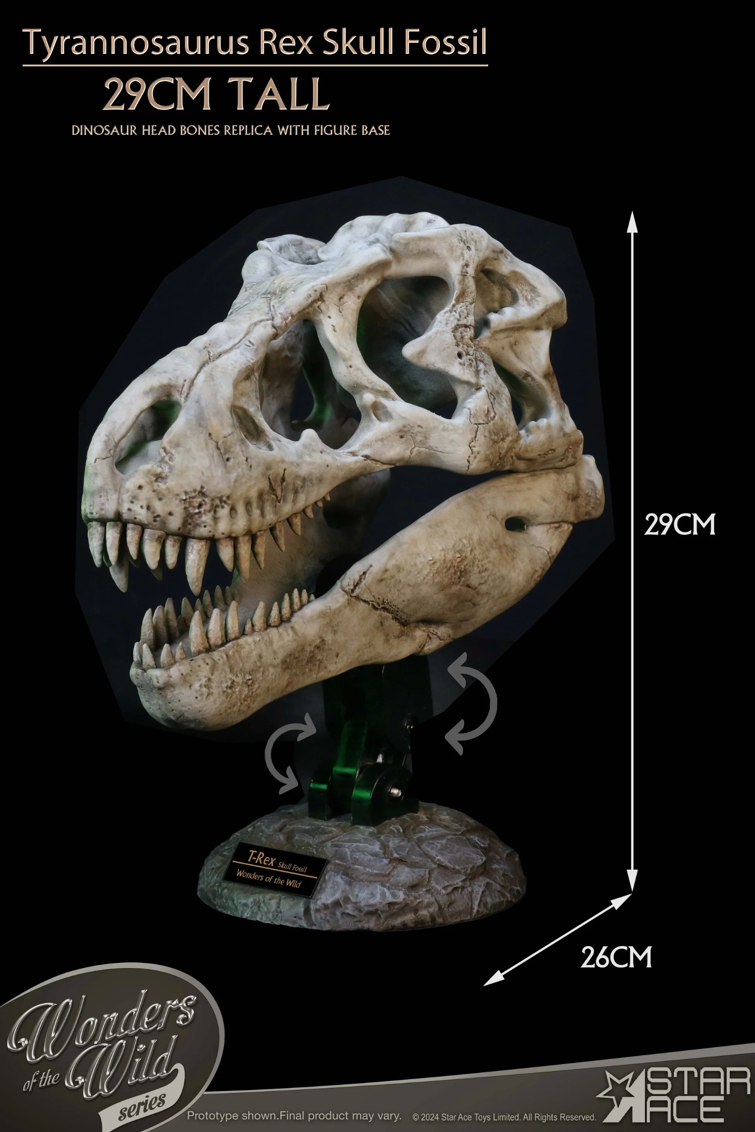 STAR ACE Toys Studio - Original Wonders of the Wild Series Tyrannosaurus Rex Skull Fossil SA5043 (Licensed) Scene-Statue Master