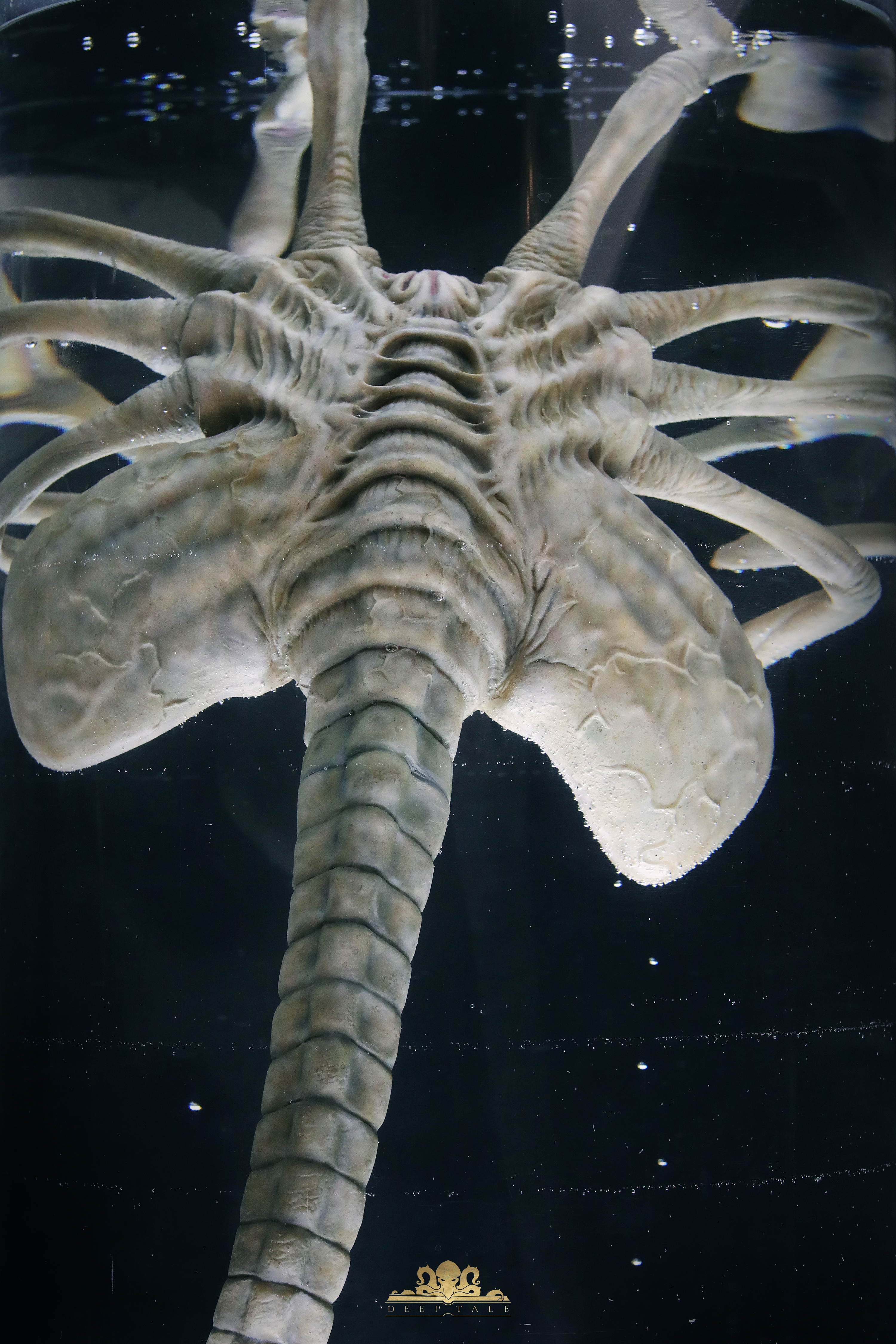 Deep Tale Studio - Alien Facehugger Stasis Chamber Statue(GK)