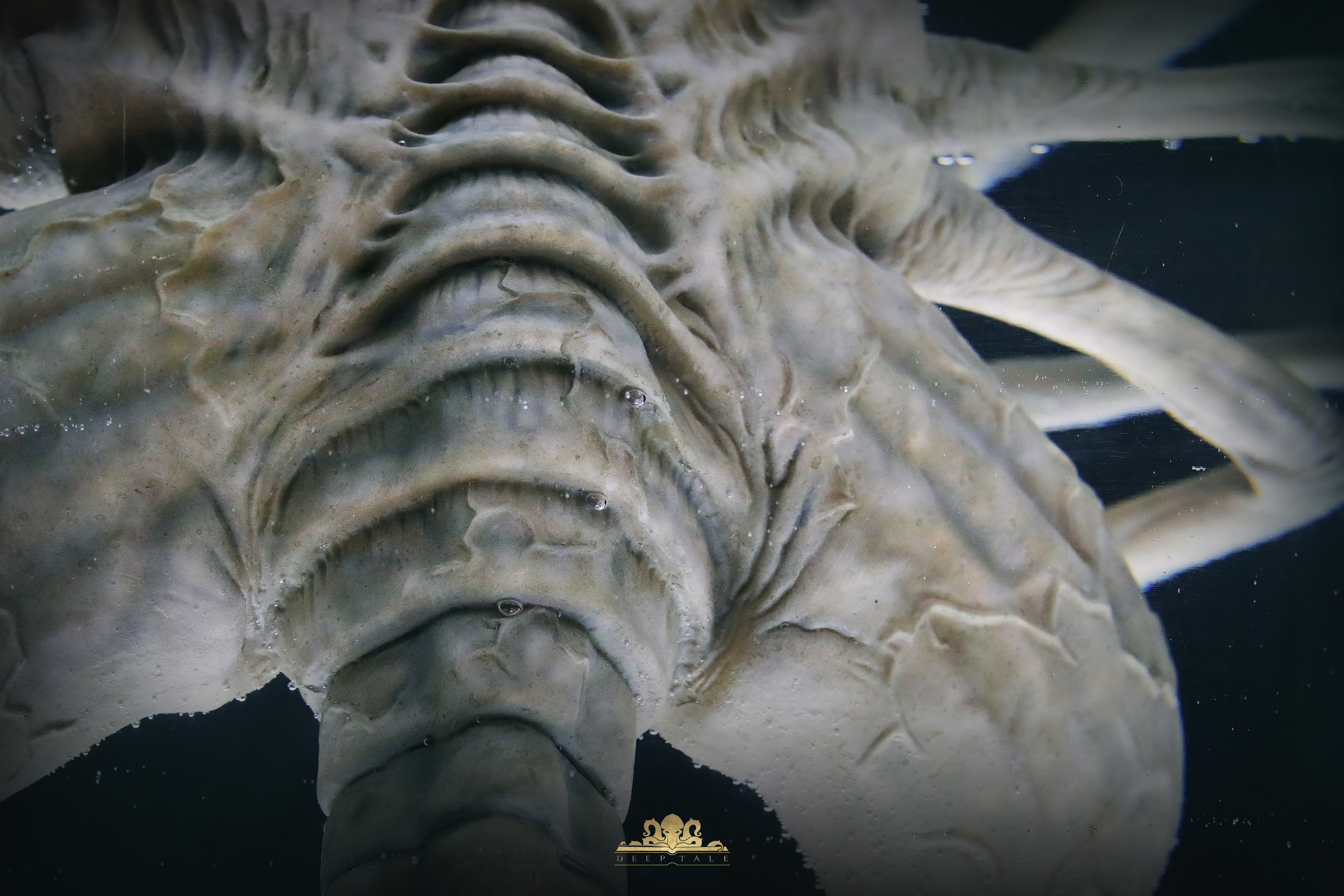 Deep Tale Studio - Alien Facehugger Stasis Chamber Statue(GK)