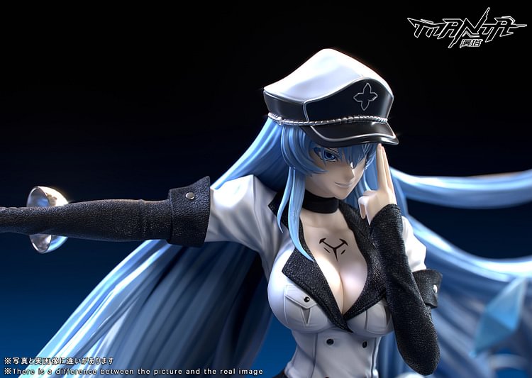 Manta Studio - Akame Ga Kill - Esdeath with LED 1/6 Statue(GK) 