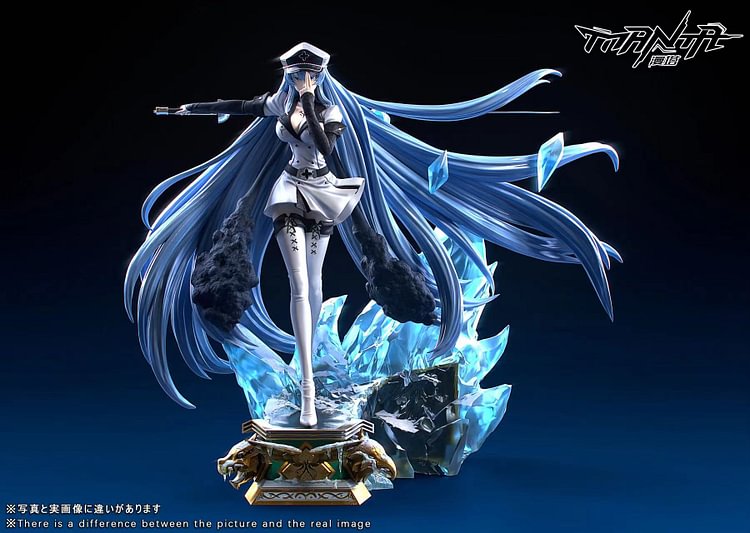 Manta Studio - Akame ga Kill Esdeath 1/6 Statue(GK)