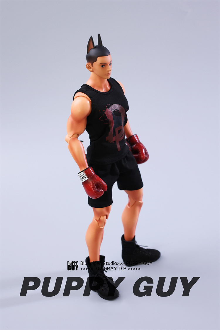 WeArtDoing - Original BJD PUPPY GARY D.P (Licensed) Action Figure