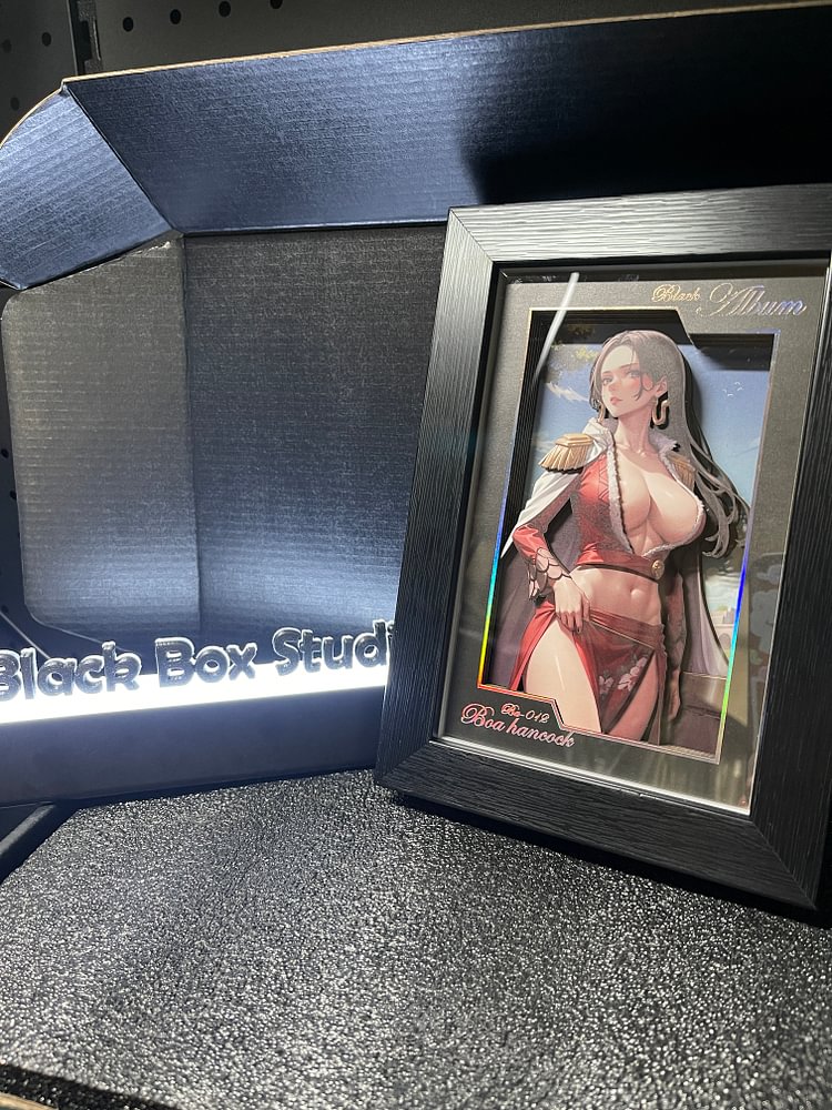 IN-STOCK Black Box Studio - One piece Decorative Frame of Boa Hancock Scene