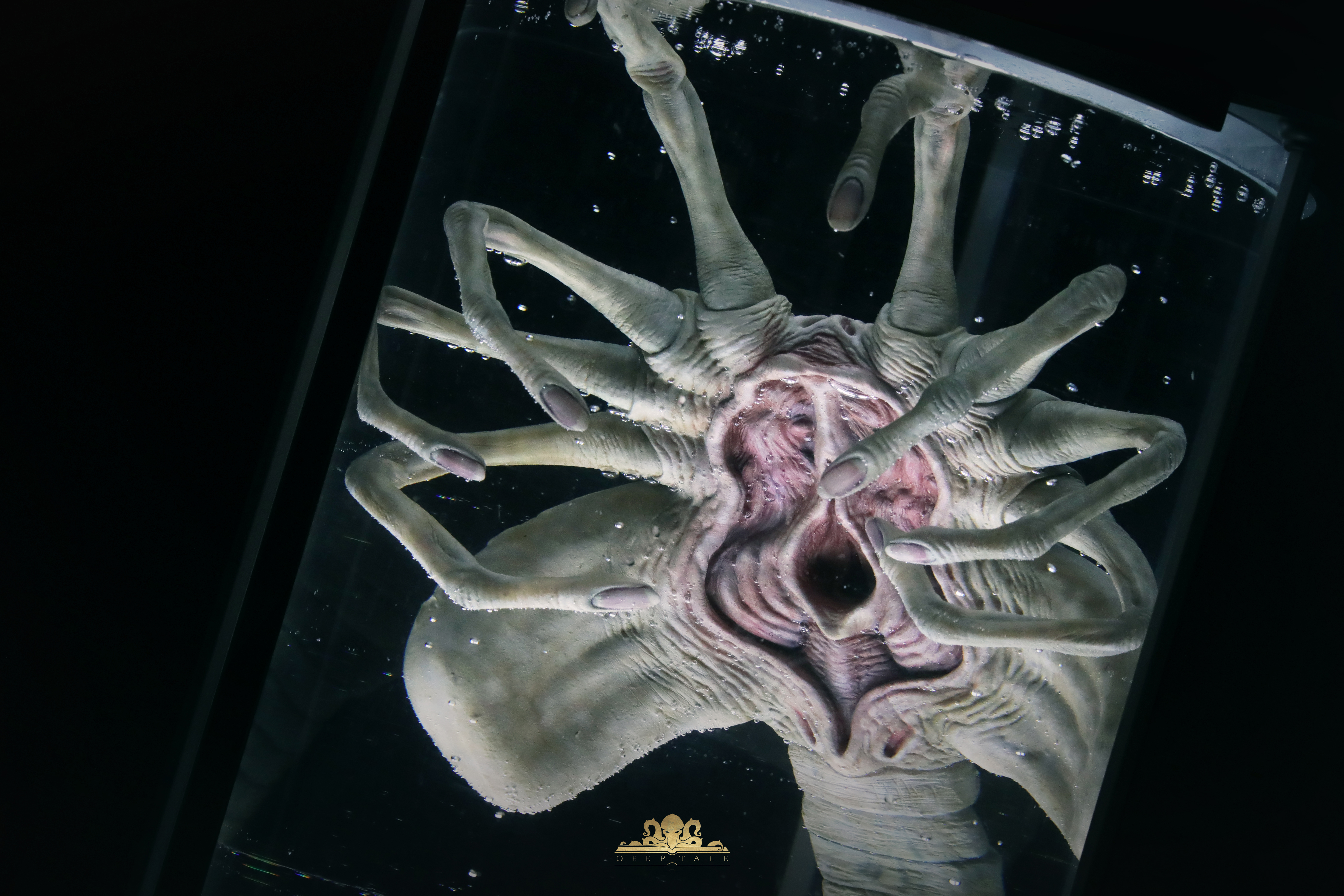 Deep Tale Studio - Alien Facehugger Stasis Chamber Statue(GK)