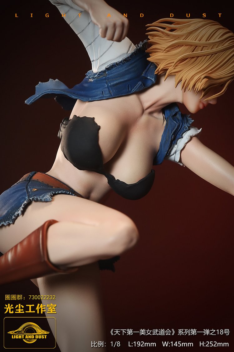 Light and Dust Studio - Dragon Ball Tenkaichi Beauty Budokai #1 Dragon Ball Android 18 VS One Piece Yamato 1/8 Statue(GK) (Adult 18+)-Statue Master