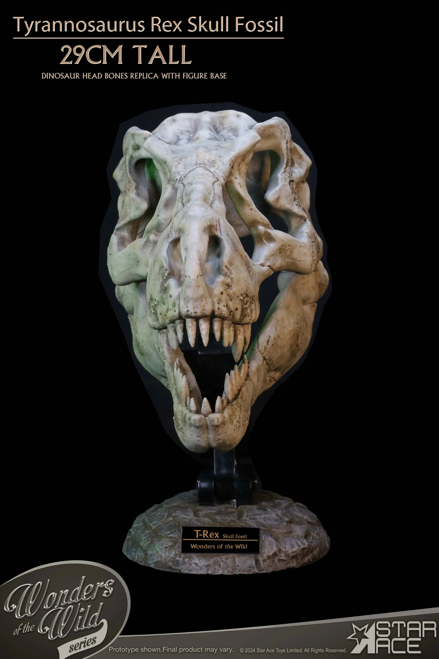 STAR ACE Toys Studio - Original Wonders of the Wild Series Tyrannosaurus Rex Skull Fossil SA5043 (Licensed) Scene-Statue Master