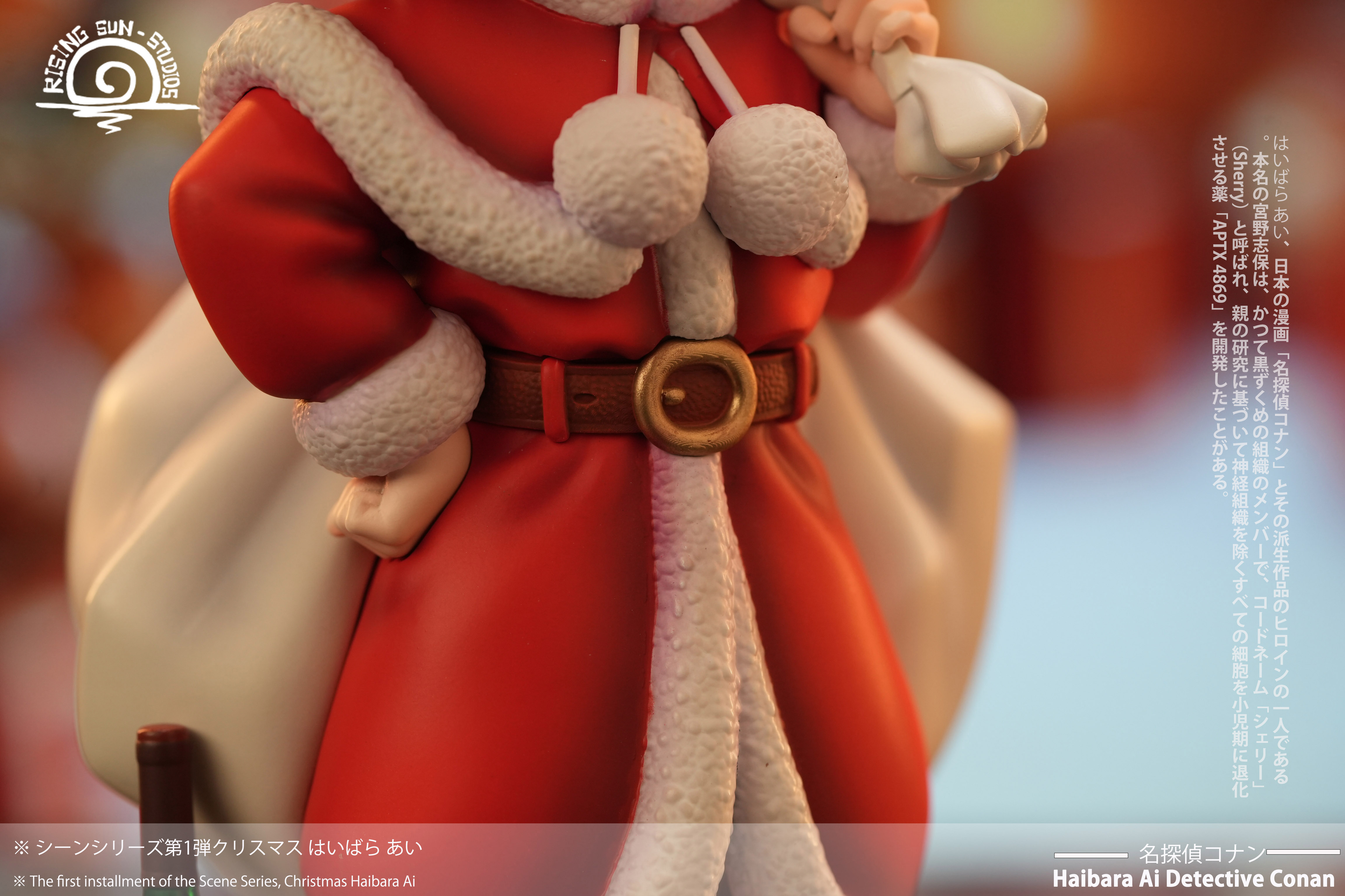 RS Studio - Detective Conan  - Anita Hailey 1/6 Statue(GK)