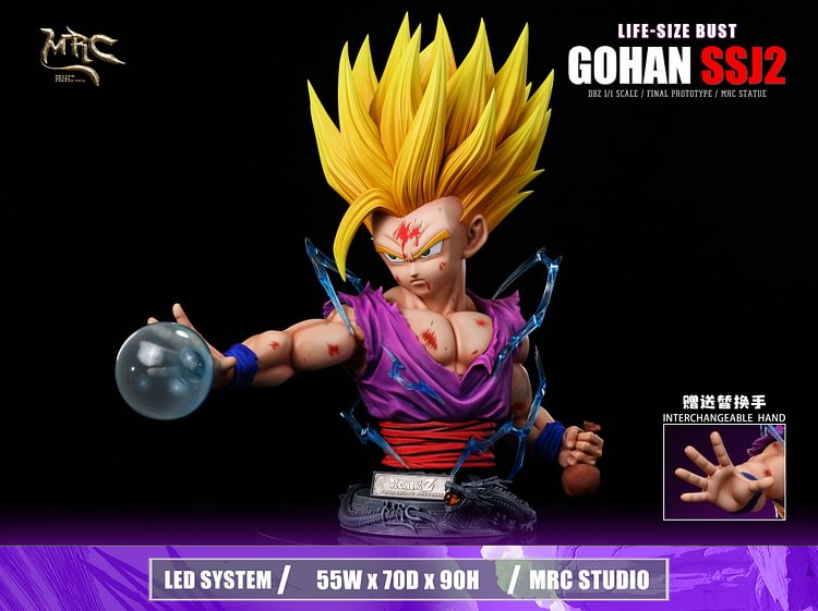 MRC Studio - One Piece - SSJ2 Gohan with LED 1/1 Statue(GK)