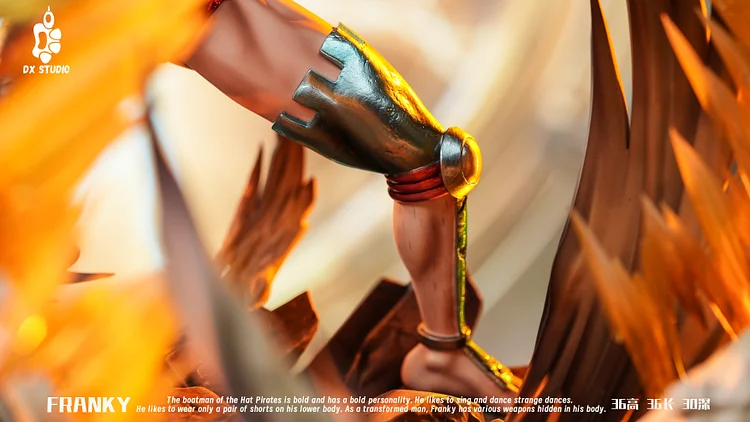 DX Studio - One Piece Franky Statue(GK)