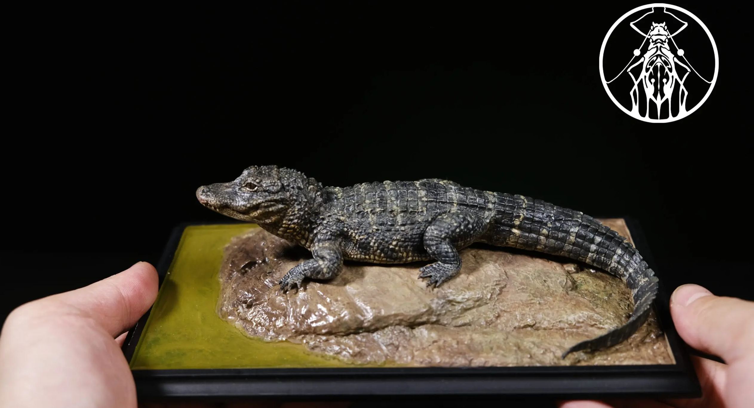 Aphid Studio - Earth's Pulse: Chinese Alligator Finished Model (Licensed)Statue