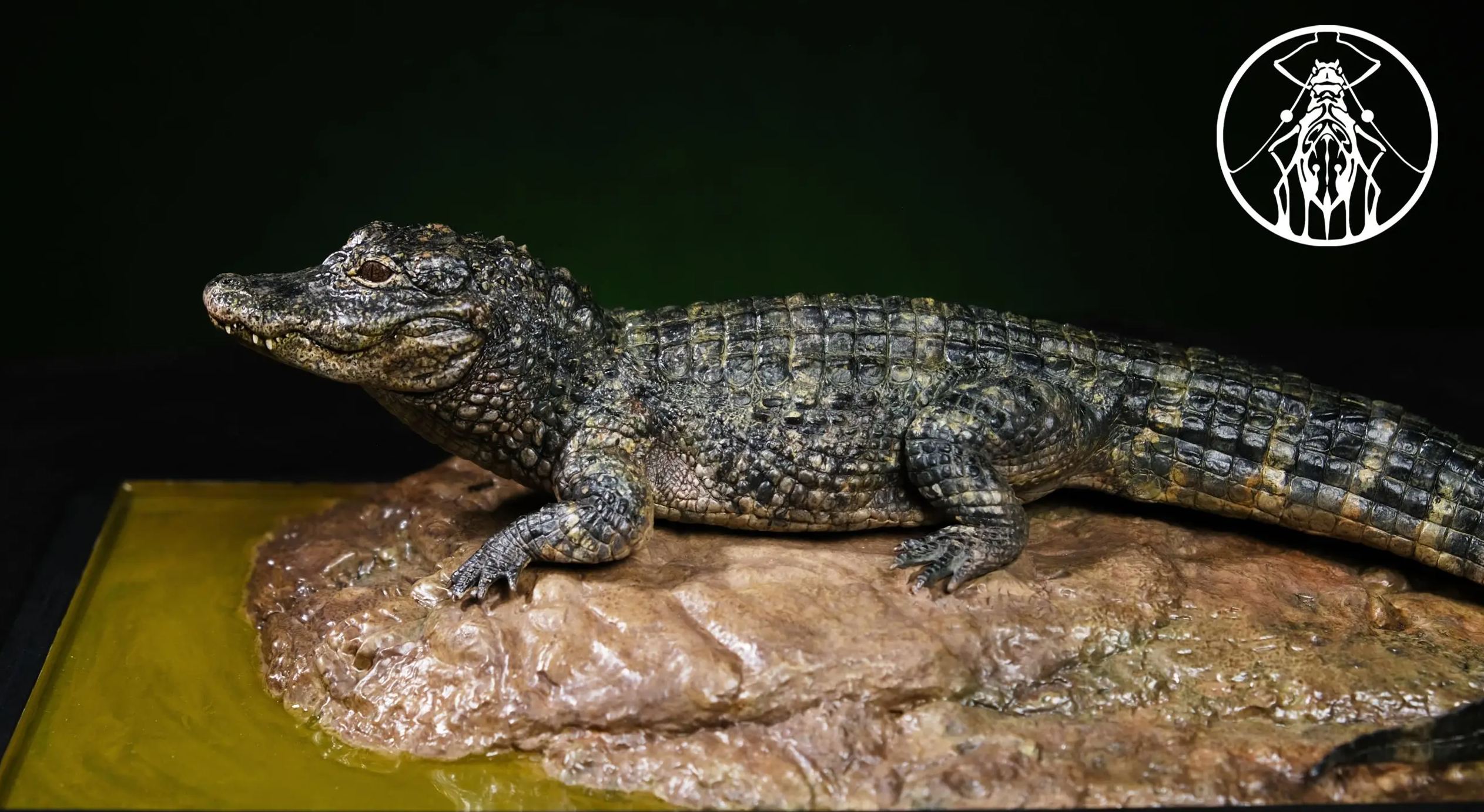 Aphid Studio - Earth's Pulse: Chinese Alligator Finished Model (Licensed)Statue