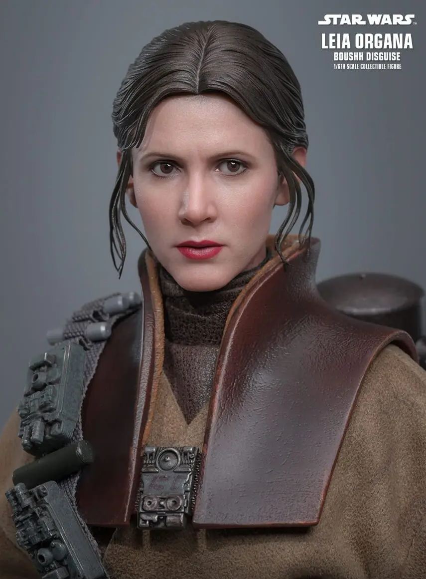Hottoys - Star Wars: Return of the Jedi Leia Organa (Boushh Disguise) 1/6th scale Collectible Figure MMS854 (Licensed)