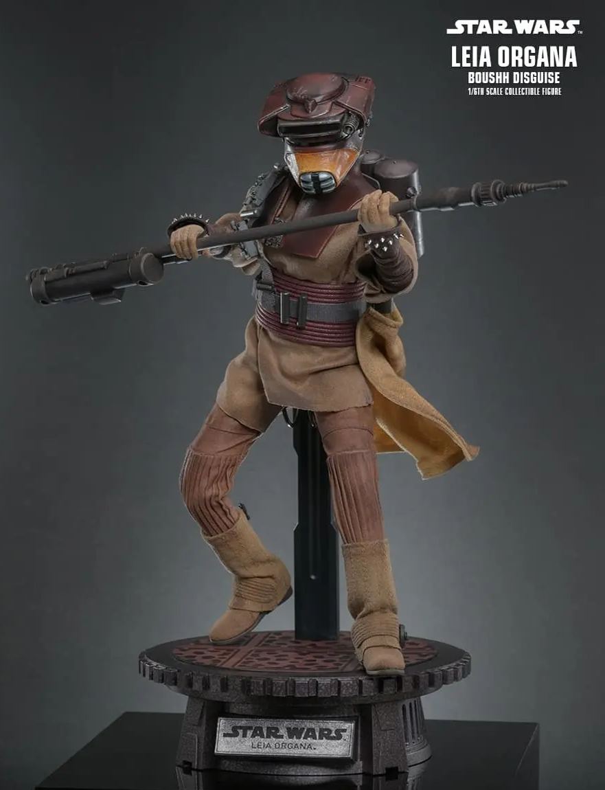 Hottoys - Star Wars: Return of the Jedi Leia Organa (Boushh Disguise) 1/6th scale Collectible Figure MMS854 (Licensed)
