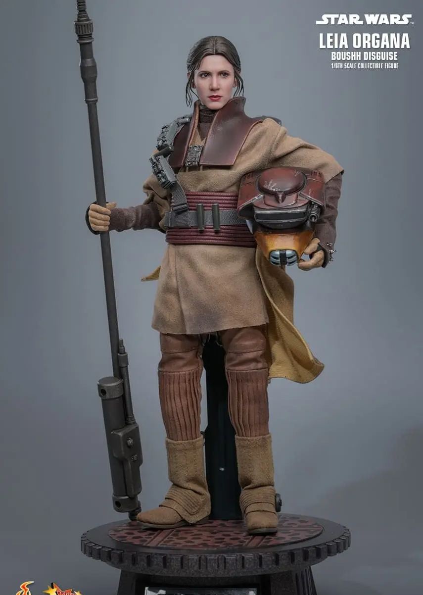 Hottoys - Star Wars: Return of the Jedi Leia Organa (Boushh Disguise) 1/6th scale Collectible Figure MMS854 (Licensed)