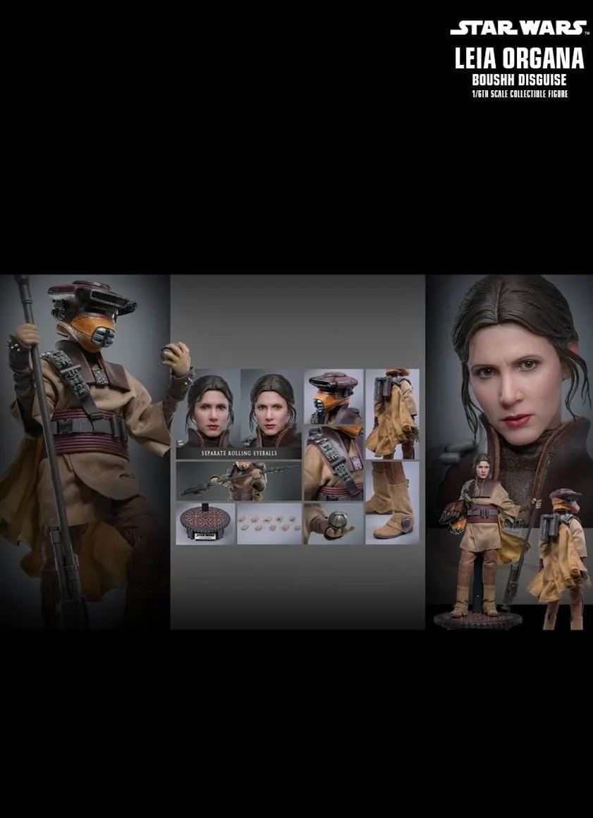 Hottoys - Star Wars: Return of the Jedi Leia Organa (Boushh Disguise) 1/6th scale Collectible Figure MMS854 (Licensed)