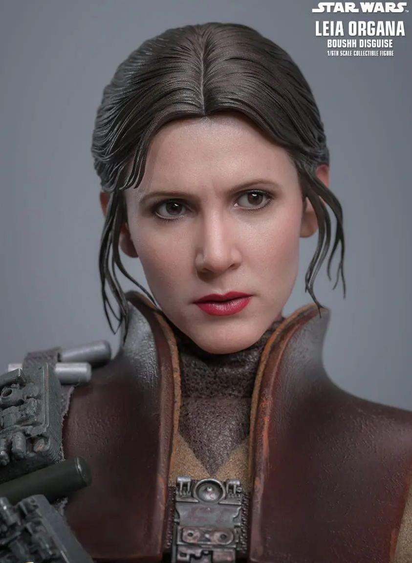 Hottoys - Star Wars: Return of the Jedi Leia Organa (Boushh Disguise) 1/6th scale Collectible Figure MMS854 (Licensed)