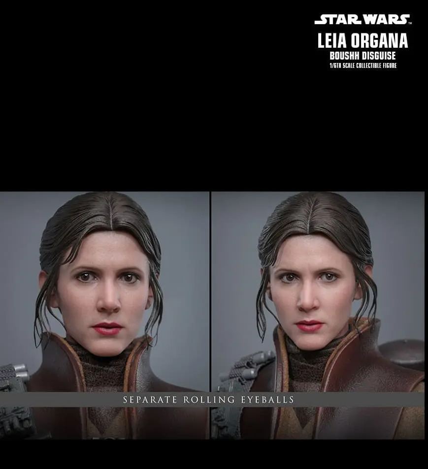 Hottoys - Star Wars: Return of the Jedi Leia Organa (Boushh Disguise) 1/6th scale Collectible Figure MMS854 (Licensed)