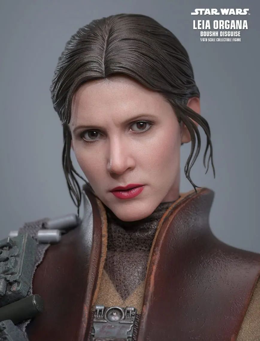Hottoys - Star Wars: Return of the Jedi Leia Organa (Boushh Disguise) 1/6th scale Collectible Figure MMS854 (Licensed)