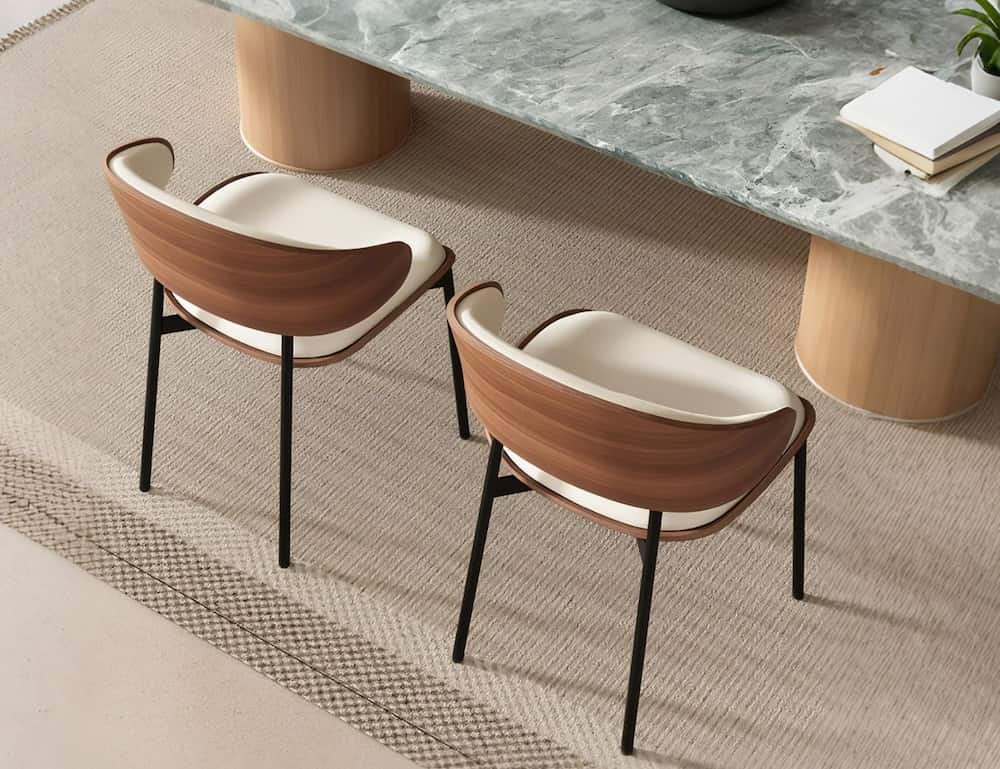 Dining Chairs | homeyfad