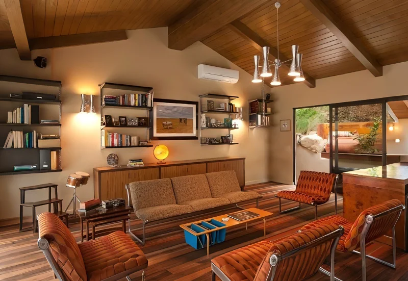 Warmth Mid-century Modern Living Room