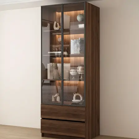 Modern Glass Door Bookcase