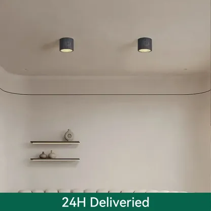 Dimmable Cylinder Flush Mount Ceiling Light for Indoor Use