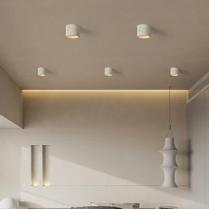 Dimmable Cylinder Flush Mount Ceiling Light for Indoor Use Image - 2