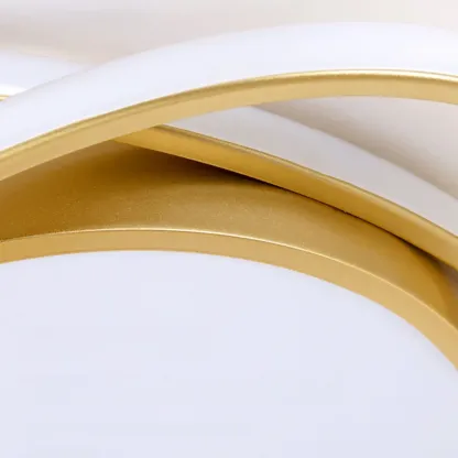 Modern Circular Flush Ceiling Light for Living Room Ambiance Image - 20