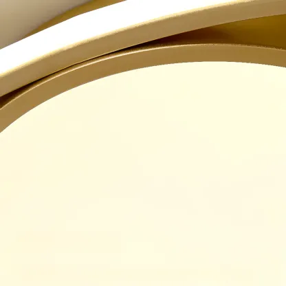 Modern Circular Flush Ceiling Light for Living Room Ambiance Image - 21