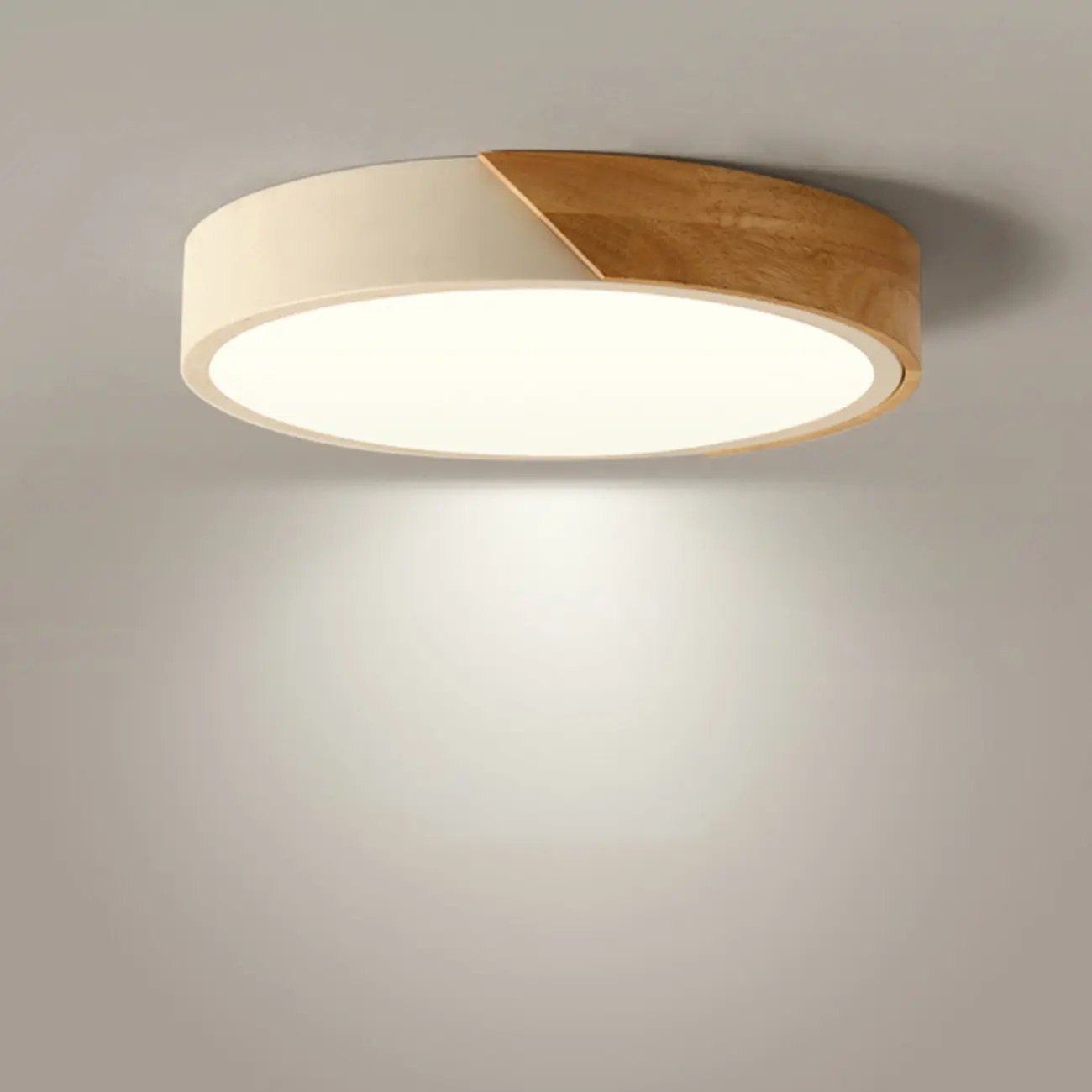 Circular Flush Mount LED Ceiling Light for Residential Use Image - 2 | homeyfad