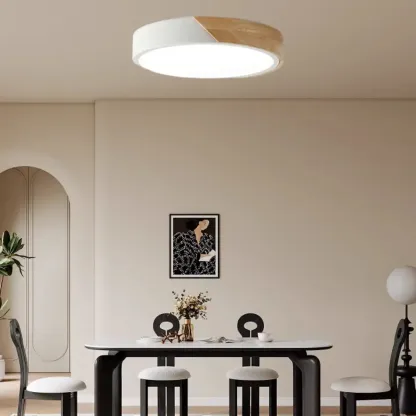 Circular Flush Mount LED Ceiling Light for Residential Use Image - 4