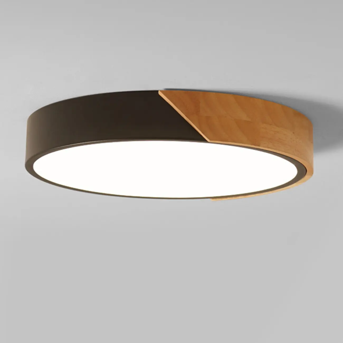 Circular Flush Mount LED Ceiling Light for Residential Use Image - 14 | homeyfad