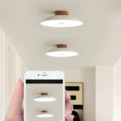 Dimmable Plastic Dome Semi Flush Ceiling Light for Home Image - 16