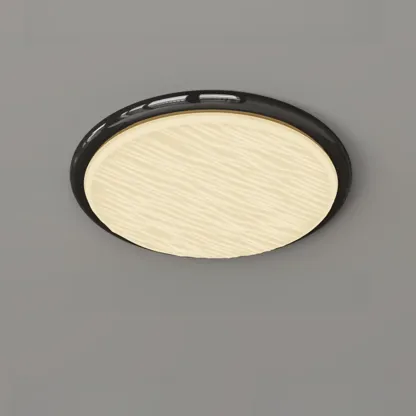 Modern Dimmable Circular Flush Ceiling Light for Indoor Use Image - 13