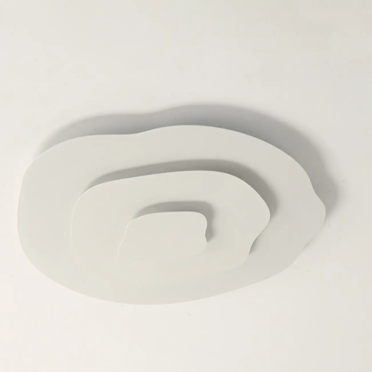 Modern Floral Flush Mount Ceiling Light for Living Room Image - 12 | homeyfad