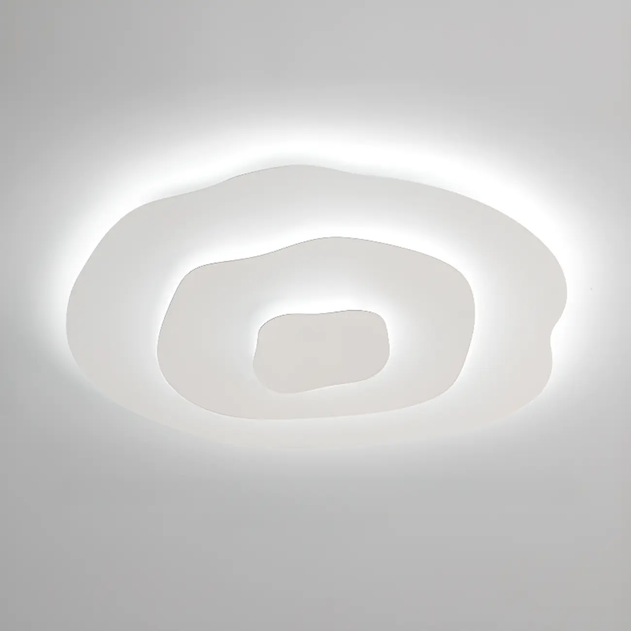 Modern Floral Flush Mount Ceiling Light for Living Room Image - 13 | homeyfad