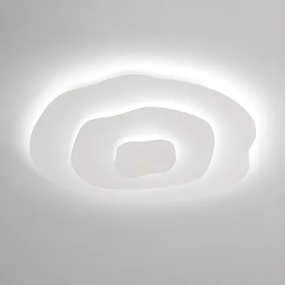 Modern Floral Flush Mount Ceiling Light for Living Room Image - 13