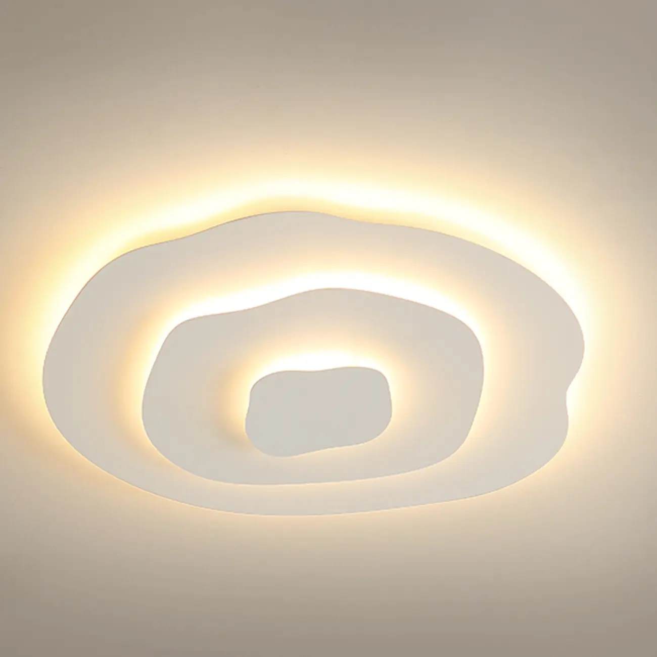 Modern Floral Flush Mount Ceiling Light for Living Room Image - 14 | homeyfad