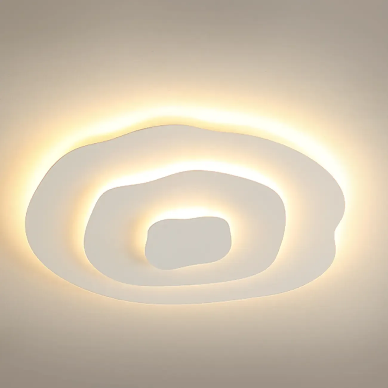 Modern Floral Flush Mount Ceiling Light for Living Room Image - 14