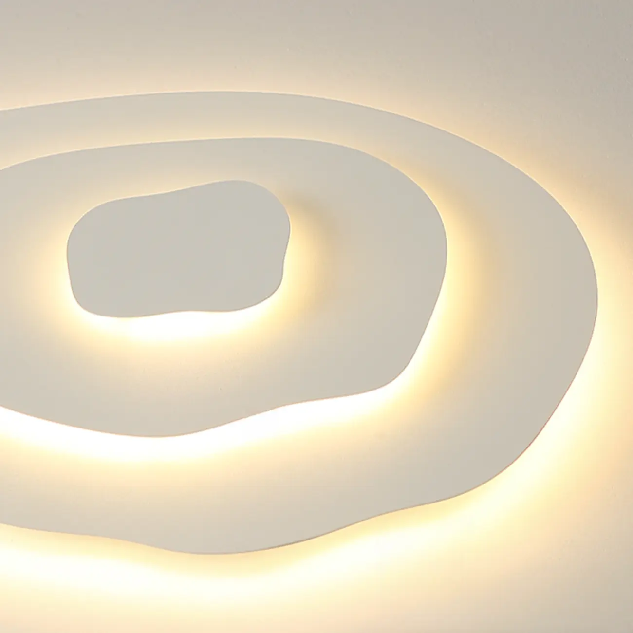 Modern Floral Flush Mount Ceiling Light for Living Room Image - 18 | homeyfad