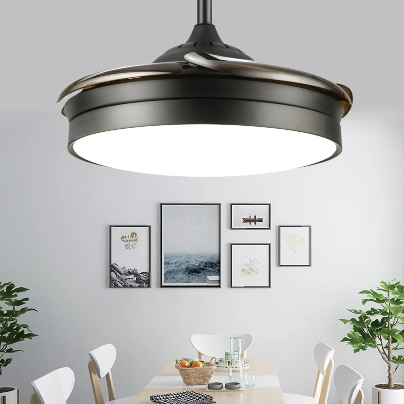 Black Retractable Ceiling Fans with LED Light and Remote Image - 1 | homeyfad