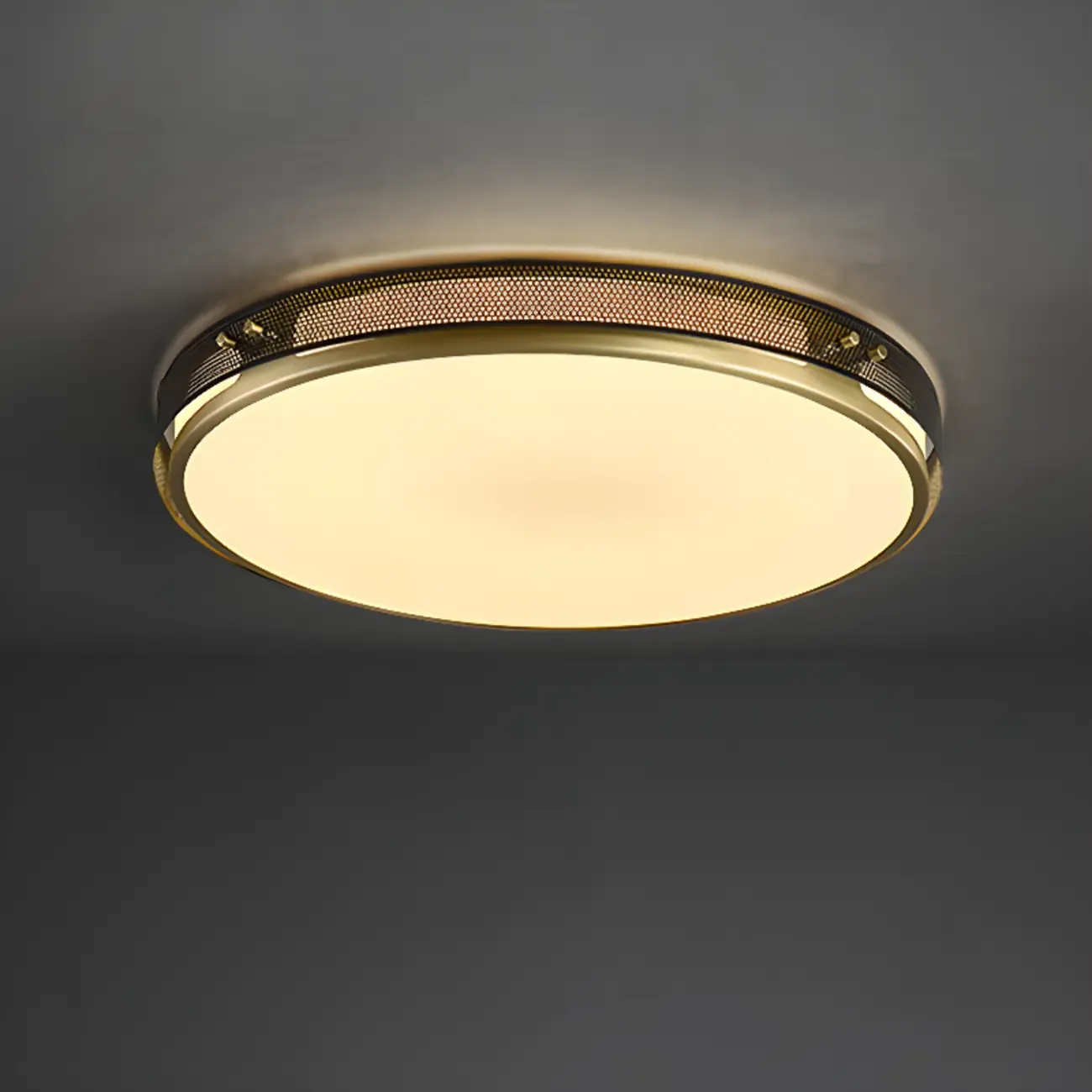 Modern Circle LED Flush Ceiling Light for Living Room Use Image - 2