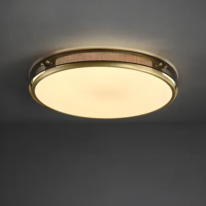 Modern Circle LED Flush Ceiling Light for Living Room Use Image - 2