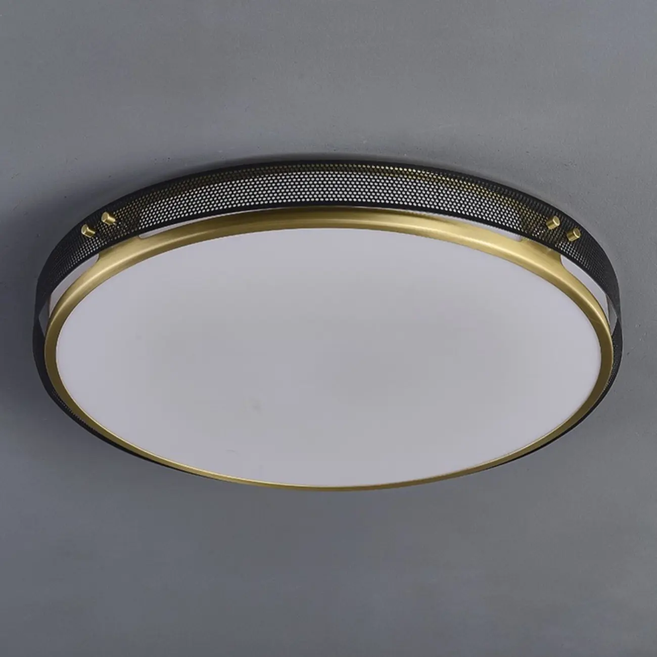 Modern Circle LED Flush Ceiling Light for Living Room Use Image - 7 | homeyfad