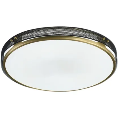 Modern Circle LED Flush Ceiling Light for Living Room Use Image - 8