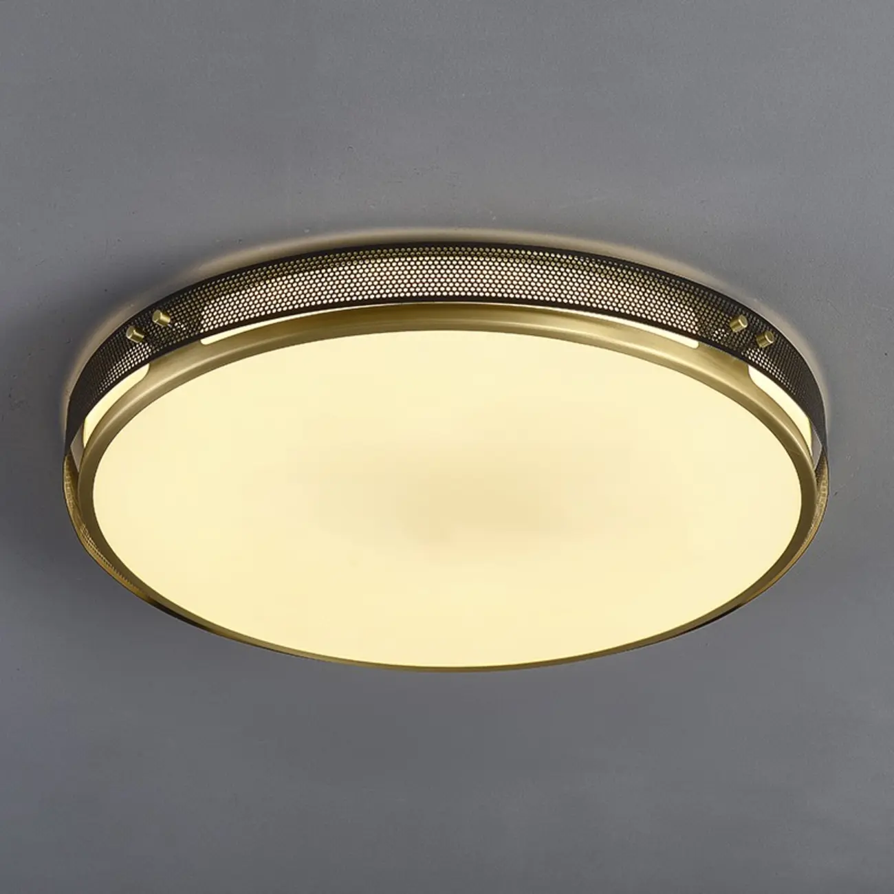 Modern Circle LED Flush Ceiling Light for Living Room Use Image - 9 | homeyfad