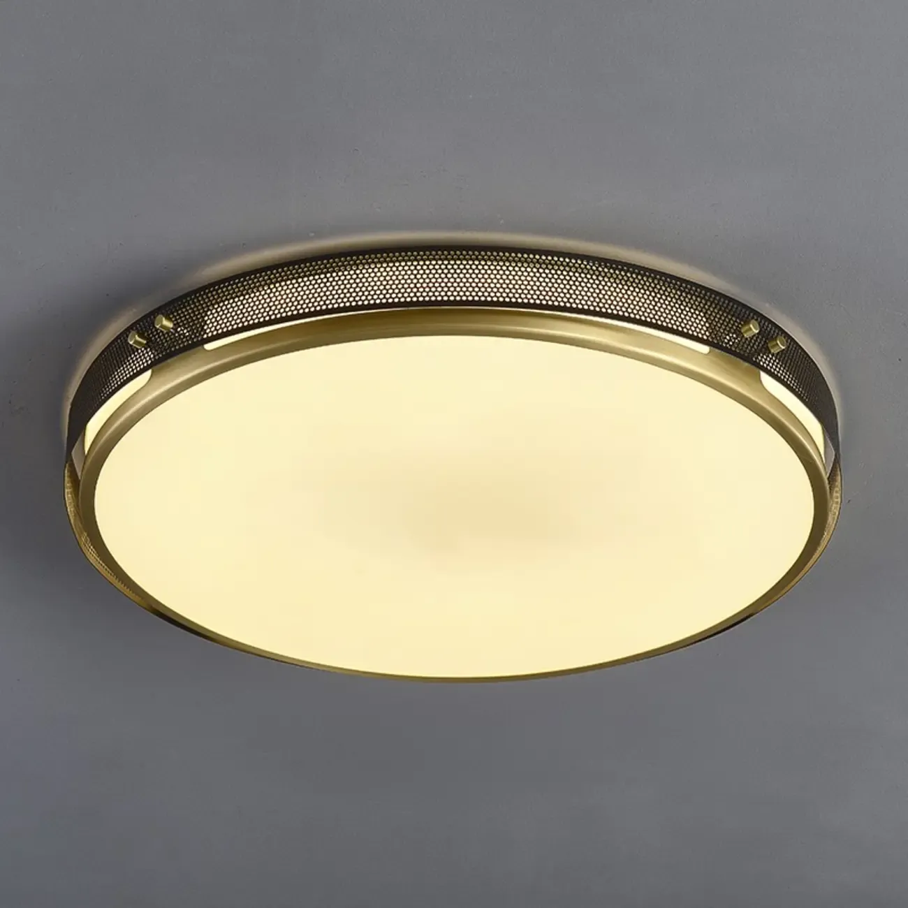 Modern Circle LED Flush Ceiling Light for Living Room Use Image - 9