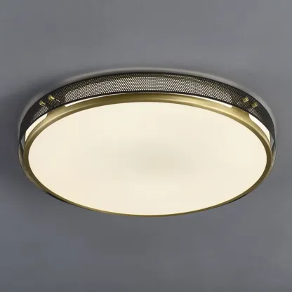 Modern Circle LED Flush Ceiling Light for Living Room Use Image - 10